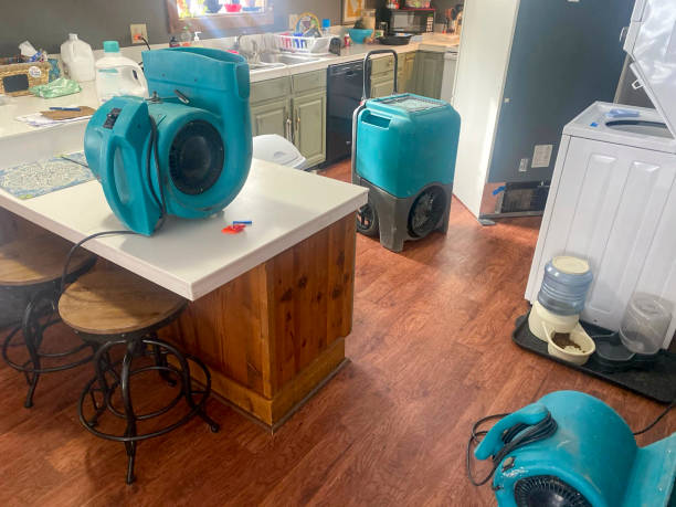 Best Local water damage restoration  in Sixteen Mile Stand, OH