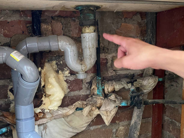 Best Fire Damage Restoration  in Sixteen Mile Stand, OH